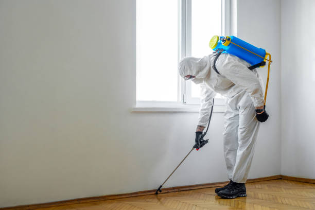 Best Pest Exclusion Services  in San Andreas, CA